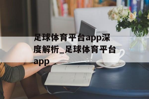 足球体育平台app深度解析_足球体育平台app