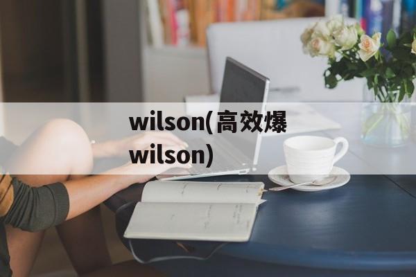 wilson(高效爆wilson)