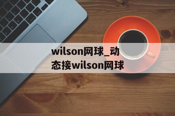 wilson网球_动态接wilson网球