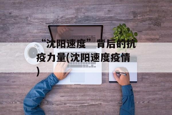 “沈阳速度”背后的抗疫力量(沈阳速度疫情)