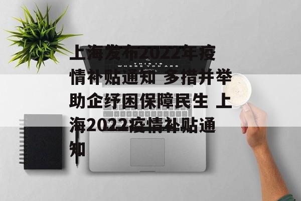 上海发布2022年疫情补贴通知 多措并举助企纾困保障民生 上海2022疫情补贴通知
