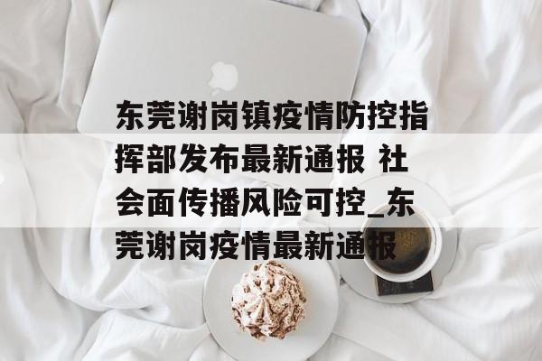 东莞谢岗镇疫情防控指挥部发布最新通报 社会面传播风险可控_东莞谢岗疫情最新通报