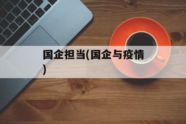 国企担当(国企与疫情)