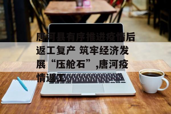 唐河县有序推进疫情后返工复产 筑牢经济发展“压舱石”,唐河疫情返工