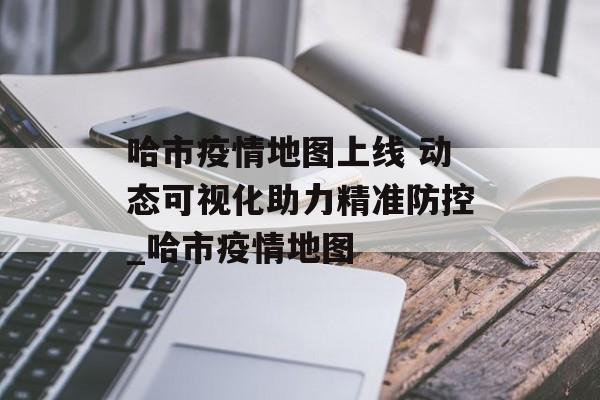 哈市疫情地图上线 动态可视化助力精准防控_哈市疫情地图