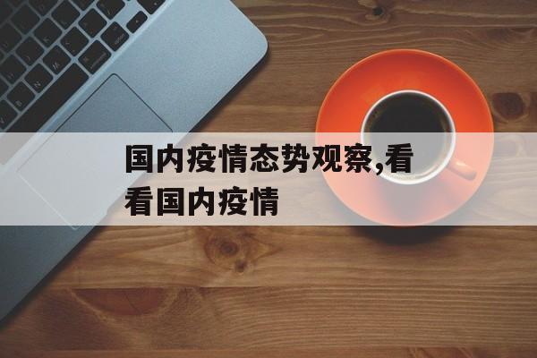 国内疫情态势观察,看看国内疫情