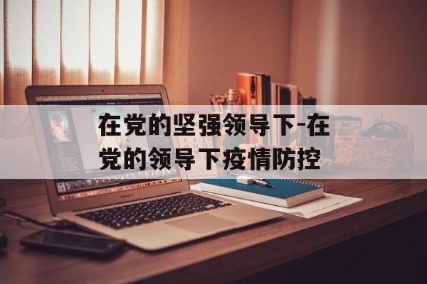 在党的坚强领导下-在党的领导下疫情防控