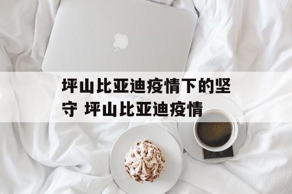 坪山比亚迪疫情下的坚守 坪山比亚迪疫情