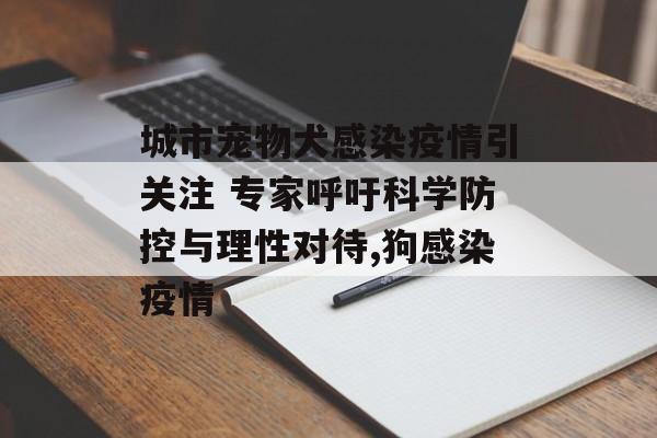 城市宠物犬感染疫情引关注 专家呼吁科学防控与理性对待,狗感染疫情