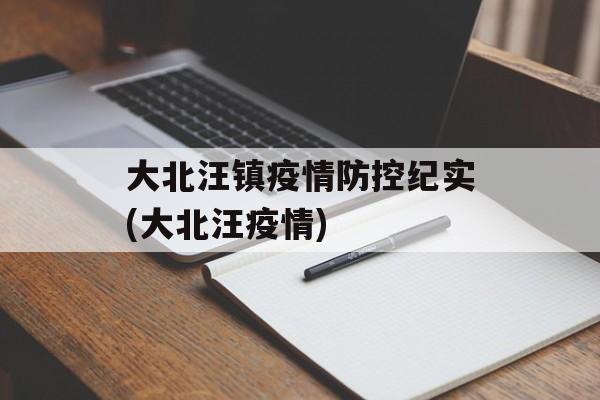大北汪镇疫情防控纪实(大北汪疫情)