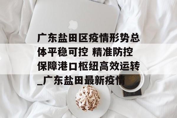 广东盐田区疫情形势总体平稳可控 精准防控保障港口枢纽高效运转_广东盐田最新疫情