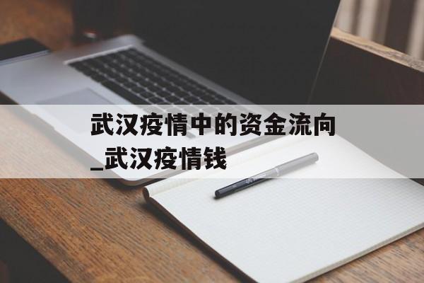 武汉疫情中的资金流向_武汉疫情钱