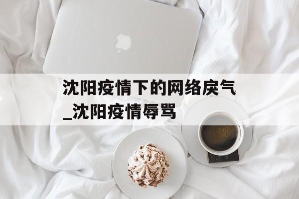 沈阳疫情下的网络戾气_沈阳疫情辱骂